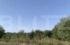 Teren intravilan 7200 mp Ardud - 1