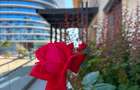 Apartament 2 camere Mamaia Nord Complex Onix Blue 103000 euro - 5