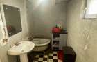 Mitreni-Valea Rosie-Acasa la Tara -4 camere-178 mp-LOT  1000 mp+Casa secundara - 38