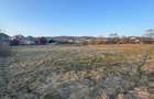 Casă 3 camere + 40 ari teren, zonă centrală Târgu Lăpuș - 9