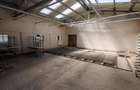 Hala Industriala Renovata + 1500 MP Teren Halchiu - 18