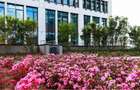 Business Garden Bucharest cladirea B, Grozavesti, 292 - 1448 mp  0% comision! - 15