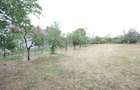 Teren intravilat 1777 mp, front 16 m, zona centru Aricestii Rahtivani - 6