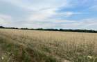 Teren extravilan de vanzare, 4200 mp, zona Salicea - 1