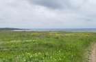 Teren intravilan 12.600 mp în apropiere de Beach Please și Nibiru - 1
