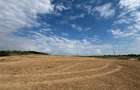 TEREN INVESTITIE | PANORAMA | 4.350 MP | SAUAIEU | BIHOR - 5