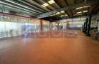 BRASOV-GHIMBAV | INCHIRIERE HALA +SHOWROOM | 6500 MP CONSTRUITI - 36