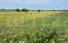 Teren extravilan, 4.994 mp, Targoviste - 3