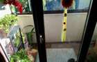 2 camere Craiovei , mobilat / utilat , Amplasament DEOSEBIT !!! - 16