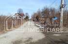 Teren 25.500 mp Valea Avrigului - 2