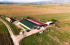 FILM! Zona extinsa, teren mixt,18.000 mp, ideal agro-investitii, Rotbav, Brasov - 10