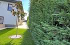 Vilă cu 7 camere, P+E, Piscină, 1102mp teren, Dealuri, Oradea. - 15