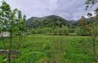 Teren intravilan - Rucar - Satic - 1775 mp - la strada principala - deschidere - 7