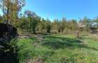 Renovata complet  2024 - 9000mp teren - 14