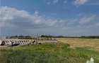 Teren industrial de vanzare / 1 minute de DN1B  / Ploiesti - 11