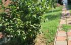 Dumbravita-apartament in triplex-209.000 € - 6