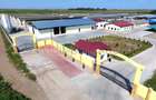 *Fermă modernă export miei | 6 ha | Standarde europene ,Brăila* - 13