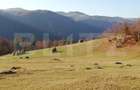 Teren de vanzare, Scarisoara,  ideal pentru cabana - 1