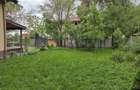 Casa 3 camere Bolintin Deal - 2