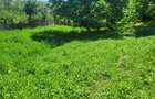 Teren intravilan 960 mp, zona Hemeius - 13