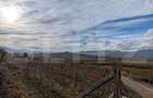Teren pretabil pentru cabana, cu view - 1