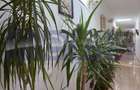 VANZARE CASA P+1 | 5 CAMERE | ZONA ROSETTI - 21