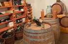 Vilă de Lux pe Malul Lacului Snagov – Ponton, Cramă, Garaj Barcă – Teren 1800mp - 7