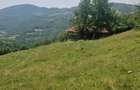 Teren intravilan de vanzare, 26.000 mp, Bulz, Bihor - 4