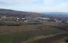 Teren 19.375 mp Dâmbu Rotund. Potențial rezidențial. Extravilan - 11