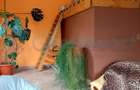 Vilă și fosta fermă 8300 mp în Valea lui Mihai, Bihor - 7