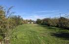 Proprietar,casa renovata ,teren 2000 mp deschidere 113 m,Farcasele Olt - 12