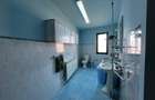 Lugoj,  Vila P+2E+M ,  656 Mp., Construiti, Posibilitate De Investitie, Zona 0 - 15