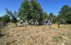 Casa 4 Camere, Parter, Runcu - Baltisoara - 19