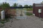Teren intravilan, 800 mp - zona Prejmer - 9