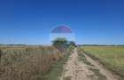 Vanzare teren extravilan 5.000mp - Pantelimon - 6
