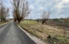 Teren de vanzare in Frecatei Tulcea - 10