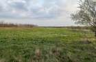 Teren de vanzare in Snagov, Jud. Ilfov - 2