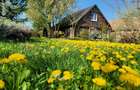 De vanzare 0,75ha cu doua case, gradina, livada etc Ideal camping, tabere, ferma - 5
