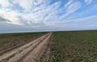 Loturi intravilane 300–500 mp, la 10 km de Centura Sud | Rate fără avans - 4