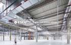 CTPark Arad II, hale in parc industrial, 0% comision, 3.000-21.000mp - 2