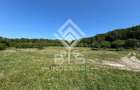 Teren Extravilan - 10'000 Mp - Valea Budacului (Bistrita) - 3