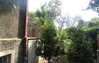 Timpuri Noi-Tineretului-Spatiu Comercial-cafenea-fast-food-500 EUR+800 EUR curte - 9