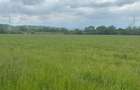 Vand teren extravilan 8.600 mp in Selimbar / jud. Sibiu - 3