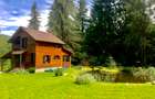 Casa din lemn pe marginea paraului Borzont