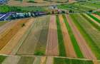 TEREN extravilan- 6 E/MP- CU PLANTATIE DE TRANDAFIRI! Teliu 7000mp - 6