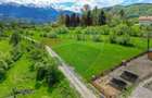 Teren 500mp-1000-2000mp, intravilan, intre Bran si Zarnesti (Tohanita) - 10