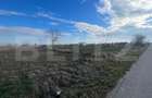 Teren 7500 mp intravilan, industrial/comercial, stradal in Cosoveni - 1