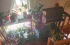 Vila de vacanta de vanzare in Busteni - Zona Zamora - 23