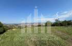 Teren intravilan | De vanzare | 676 mp | 26 ml deschidere | Podei - 1