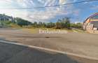 Teren intravilan 1.600 mp Mioveni – Zona Pruni - 3